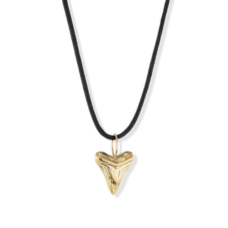 Megalodon Shark Tooth Pendant